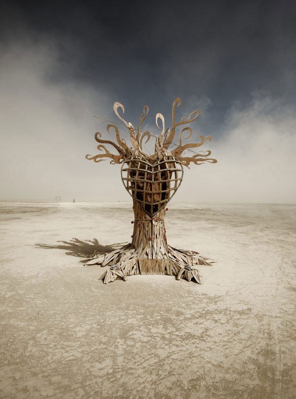 Burning Man 2010 （火人节）/ Hector Santizo_burning_man2010_22.jpg