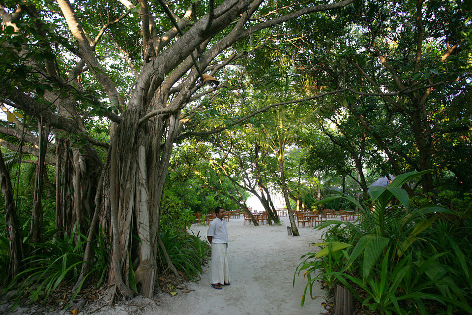 马尔代夫杜妮可鲁岛度假酒店Coco Palm Dhuni Kolhu_Cornus Grill05.jpg