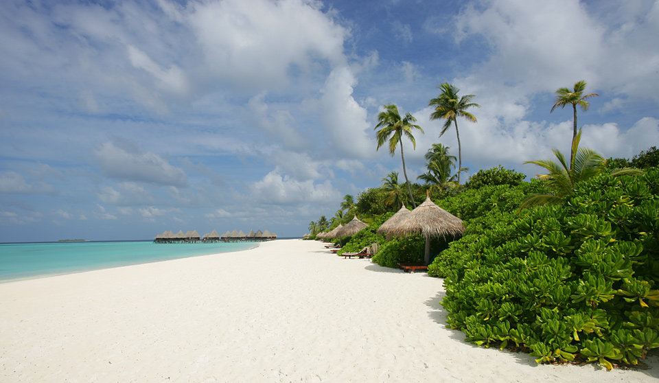 马尔代夫杜妮可鲁岛度假酒店Coco Palm Dhuni Kolhu_Lagoon Bar02.jpg