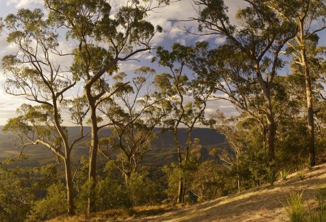 澳大利亚昆士兰Spicers Peak Lodge_248294-spicers-peak-lodge-hotel-scenic-rim-australia.jpg
