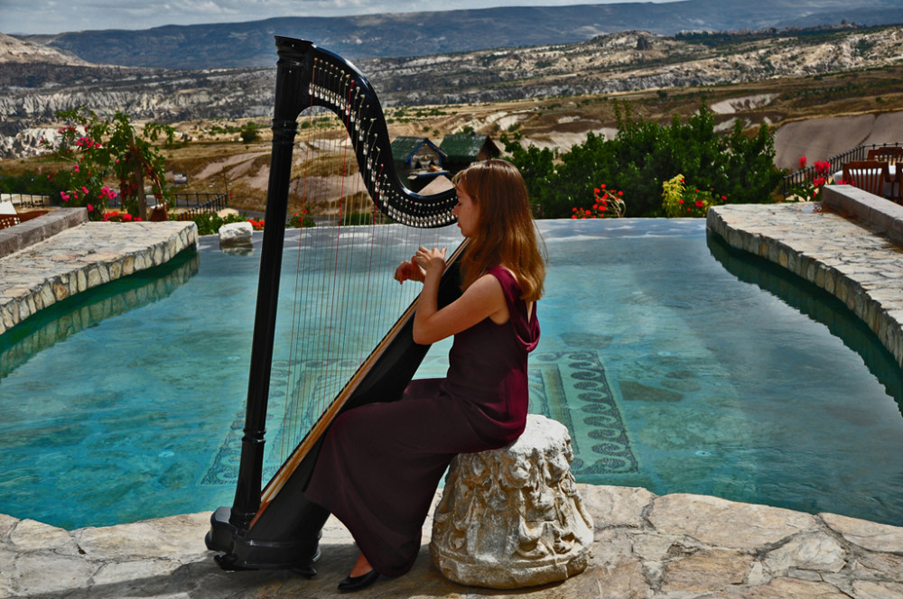 harp-concert1.jpg