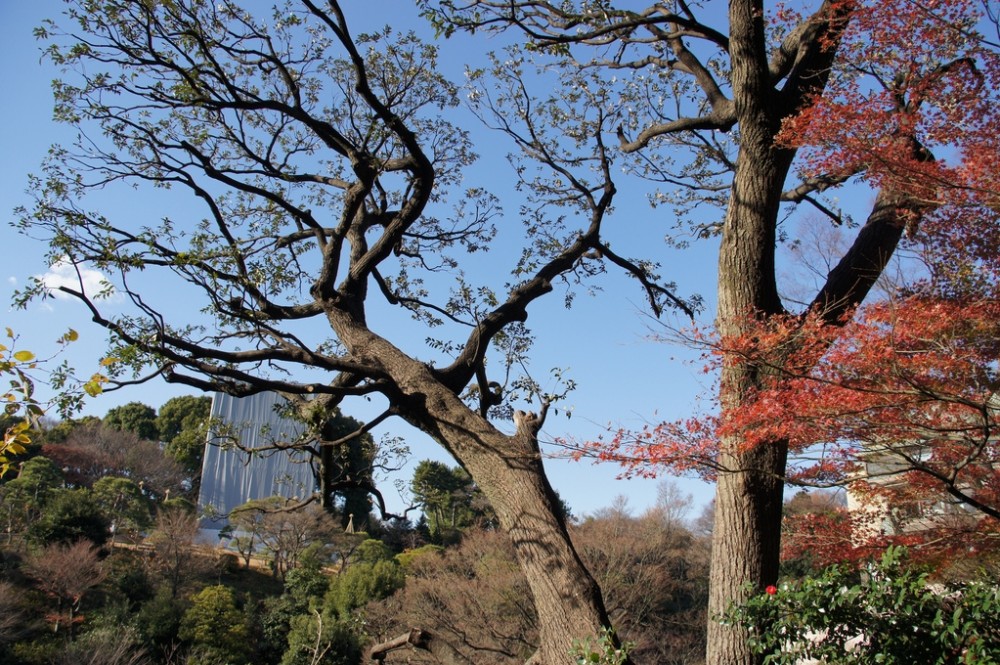 东京四季饭店at Chinzan-so官方高清摄影_w19.jpg