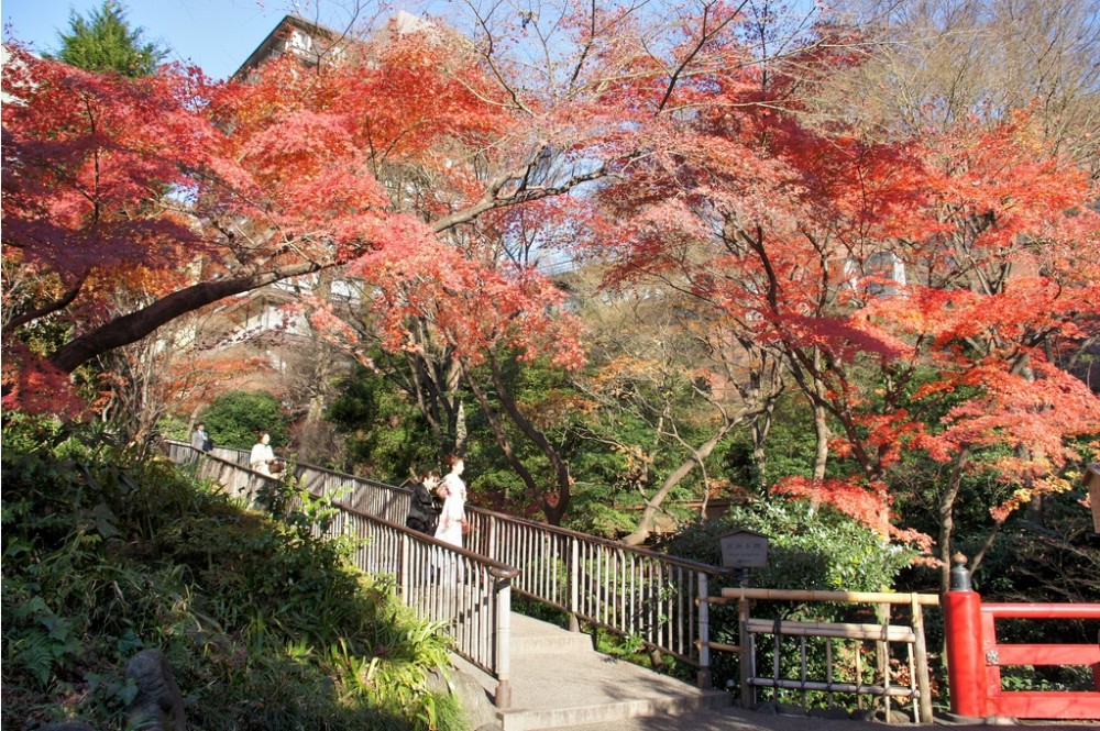 东京四季饭店at Chinzan-so官方高清摄影_w20.jpg