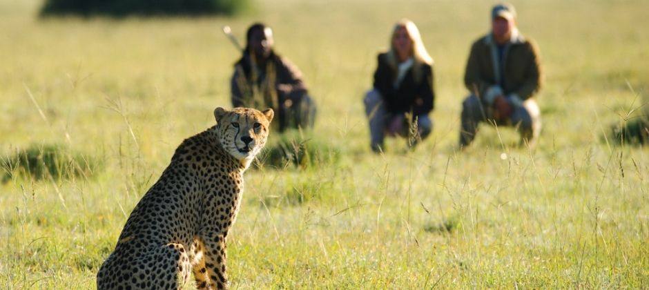 南非东开普省伊丽莎白港香华里野生动物保护区旅馆 Shamwari Game Reserve_IP7_6510.jpg