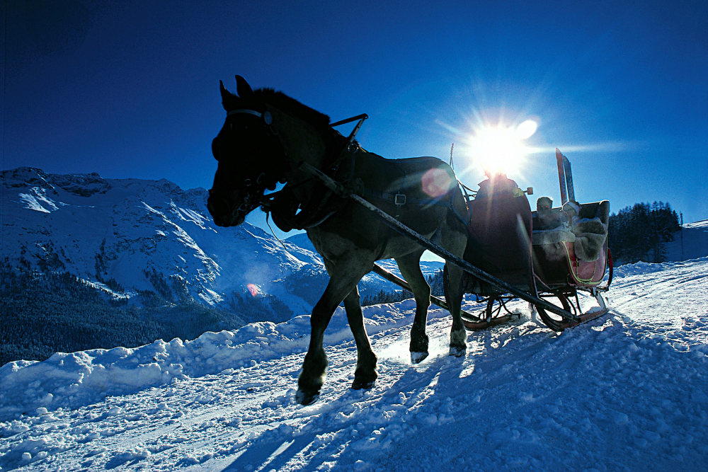 Horse-drawn-carriage.jpg