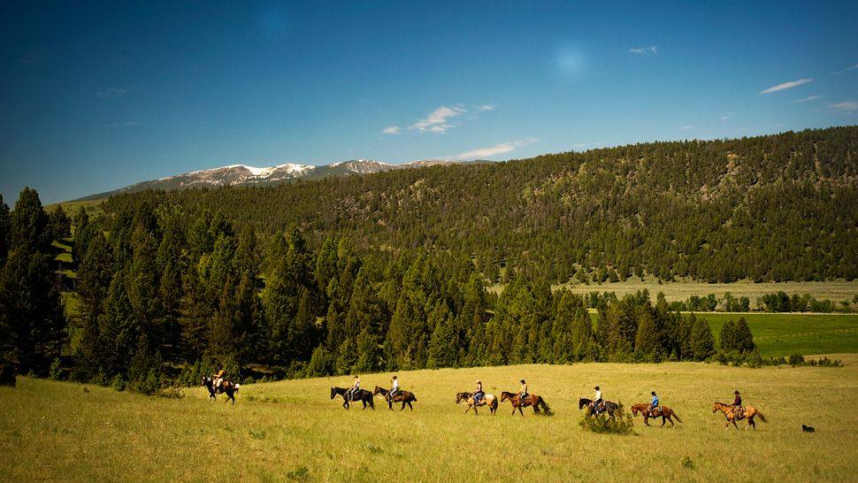 008115-06-horseback-riding.jpg