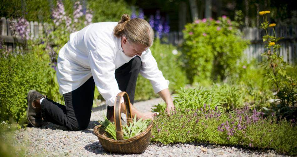 Josh in Garden.jpg