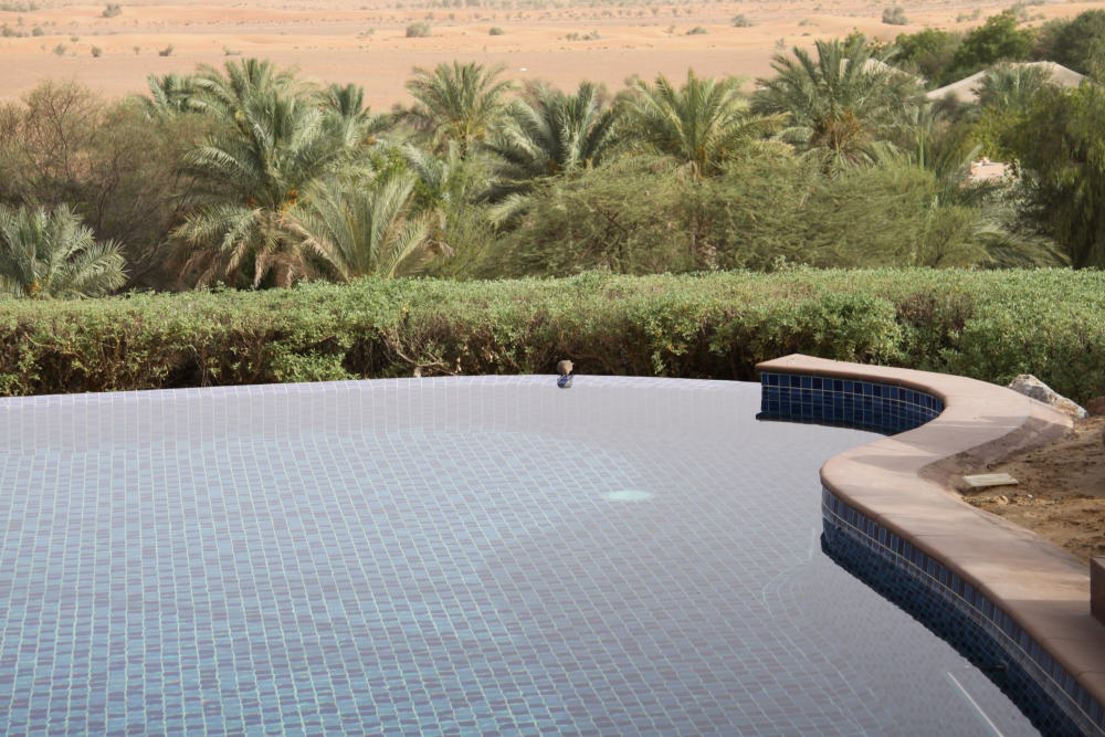 迪拜阿玛哈(AlMaha)沙漠度假酒店Al Maha Desert Resort and Spa, Dubai, United Arab Emirates_IMG_5772.jpg