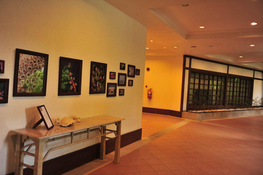 马来西亚兰卡威安达曼酒店The Andaman A Luxury Collection Resort Langkawi_HXQ_1759.jpg