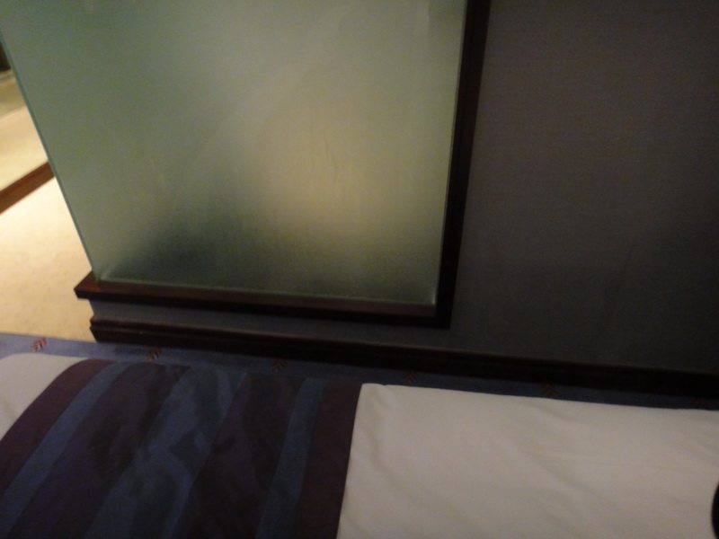 无锡凯宾斯基酒店官方高清摄影2012.1.1第四页更新自拍_DSC01030_调整大小.JPG