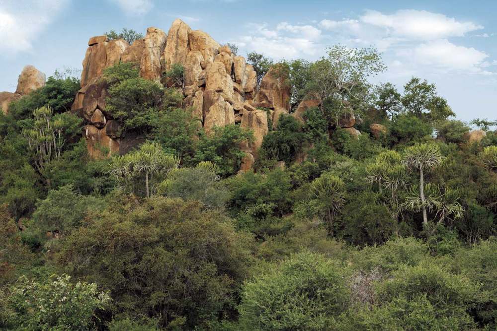 南非萨比沙自然保护区Singita巨石小屋_bg.jpg