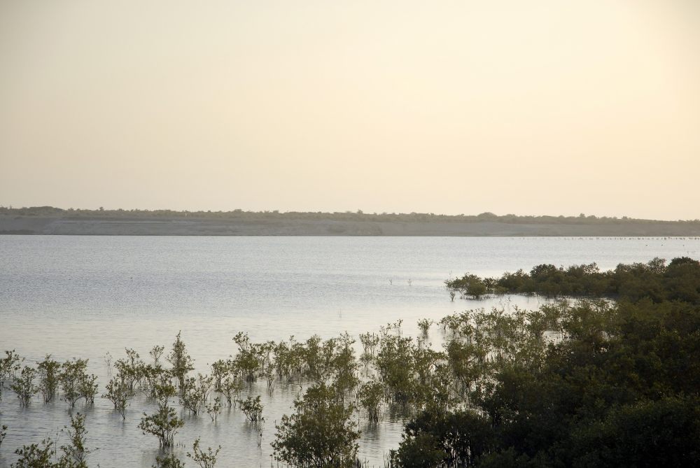 阿布扎比-沙漠岛-安納塔拉度假村 Desert Islands_anantara_dujiajiudian_abuzhabi-029.jpg