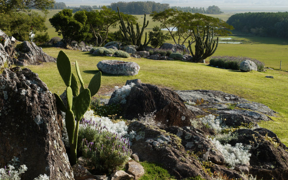 乌拉圭法萨诺彼德拉斯酒店 Fasano Las Piedras Hotel_04_01_03.jpg