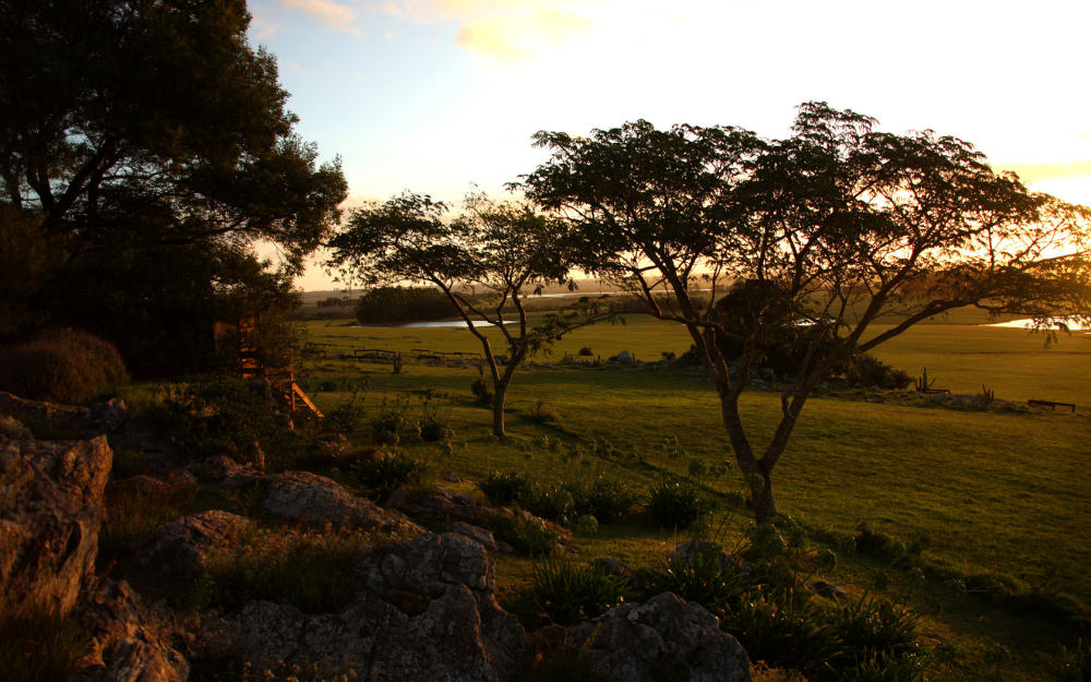 乌拉圭法萨诺彼德拉斯酒店 Fasano Las Piedras Hotel_Las Piedras1.jpg