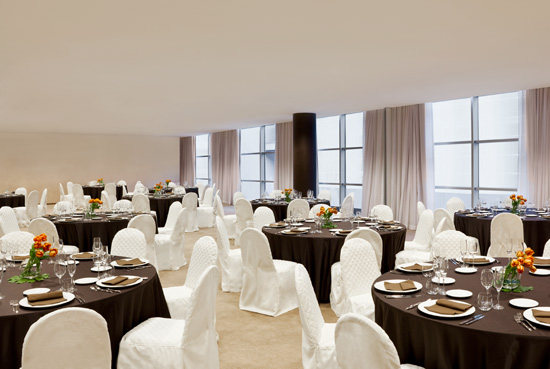 米兰马尔彭萨机场喜来登酒店及会议中心 Hotel Sheraton Malpensa_she3138br.107127_lg.jpg