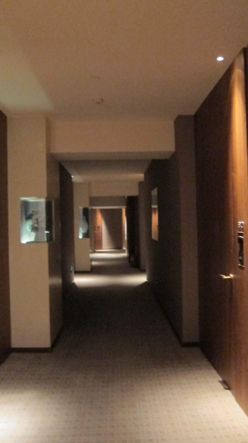 上海东方商旅精品酒店(Les Suites Orient, Bund Shanghai )_东方商旅 (105).JPG