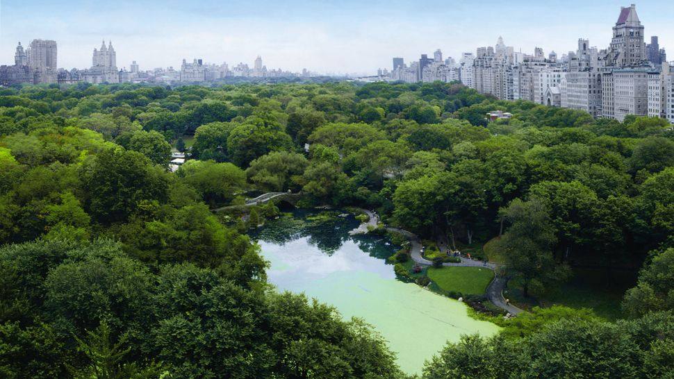 美国纽约The Plaza Hotel_006187-03-park-view-daytime.jpg