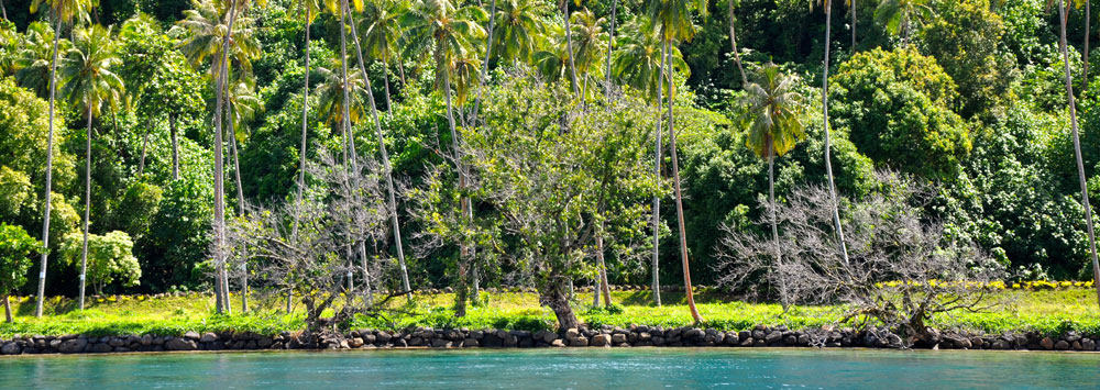 法属波利尼西亚Le Taha'a岛度假村_tahaa-island-5.jpg