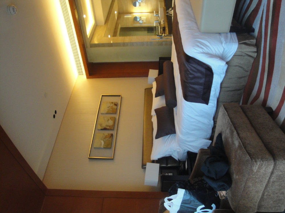 BLD--Intercontinental Hotel Hangzhou 杭州洲际酒店（官版）_DSC03964.jpg