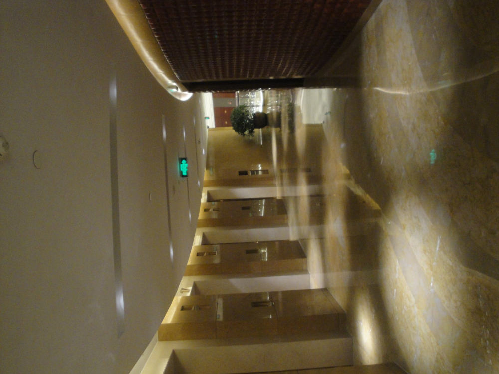 BLD--Intercontinental Hotel Hangzhou 杭州洲际酒店（官版）_DSC04061.jpg