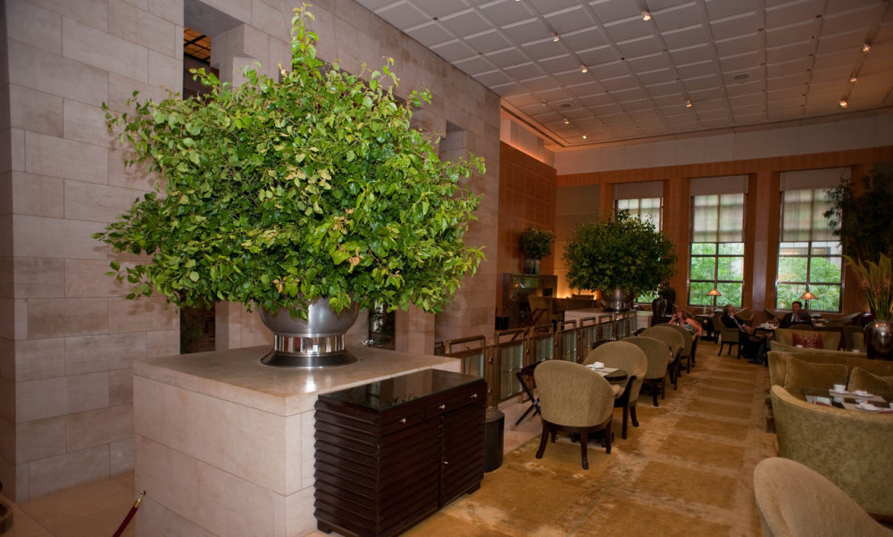 restaurants-bars-four-seasons-new-york-v260061-1280.jpg