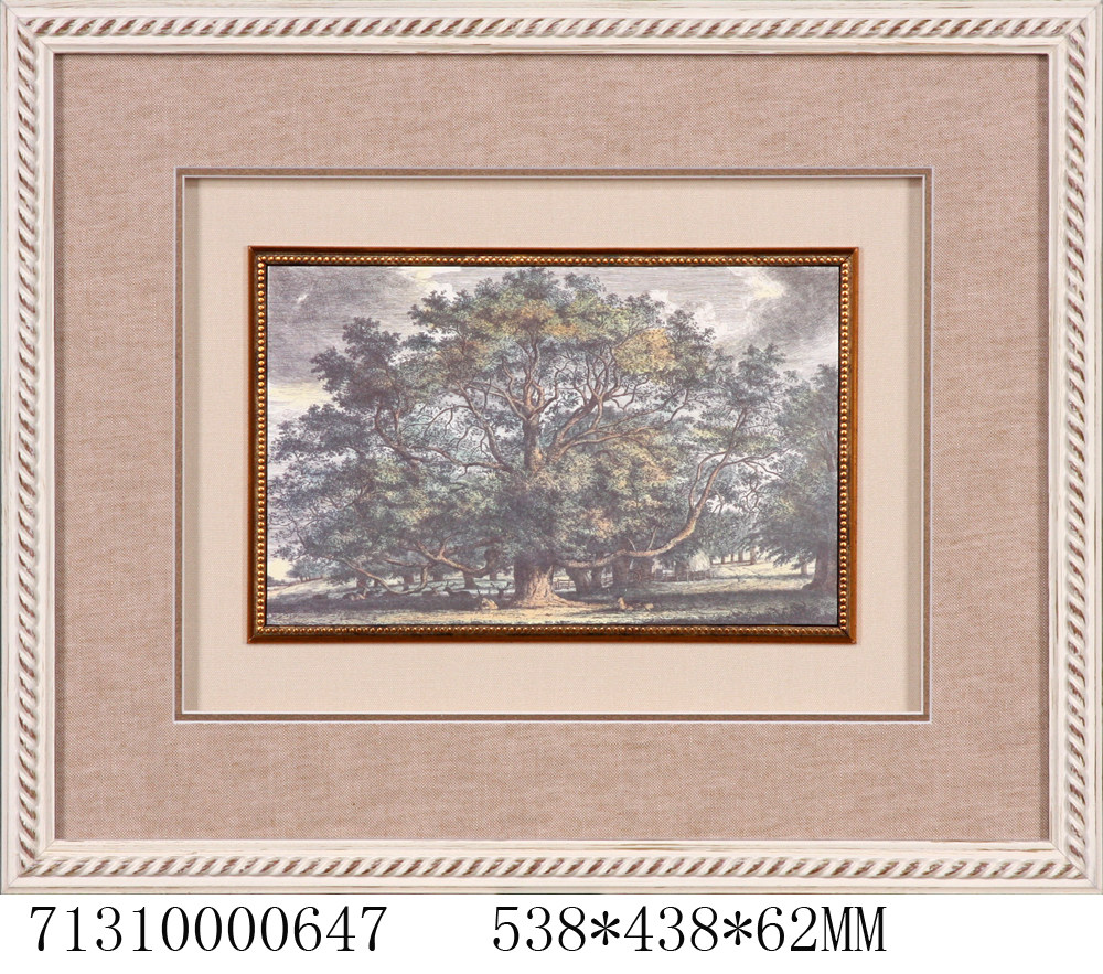 装饰画 Printed Painting1600张 （搜集的非常辛苦大家多多支持）_71310000647.JPG