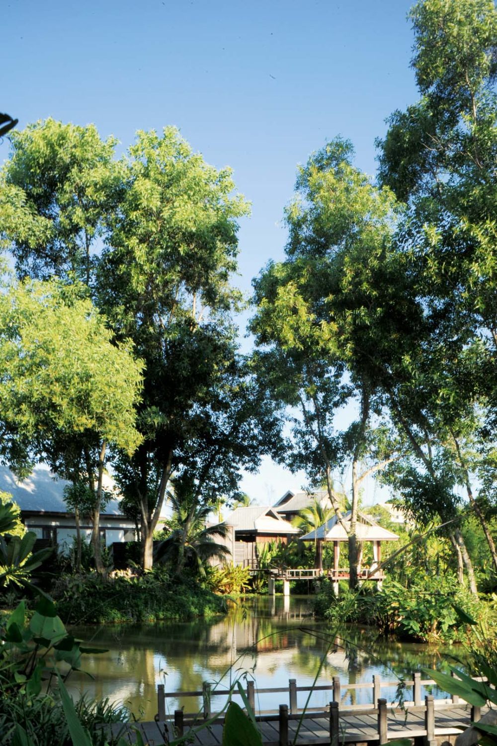 泰国，普吉岛安娜塔拉----Anantara ,Phuket ,Thailandia_DSC_8524.jpg