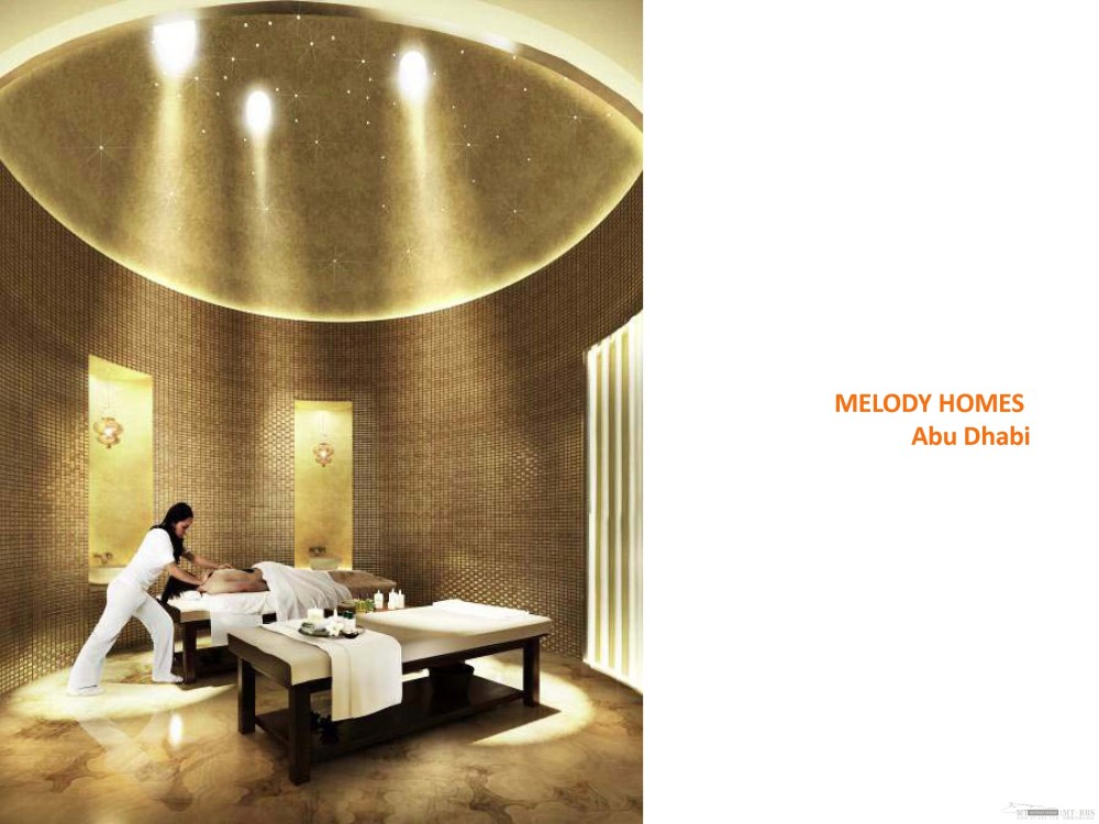 Armando Bruno--CORSO in HOTEL DESIGN 酒店设计课程_HOTEL DESIGN_Page_154.jpg