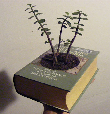 recycled-book-planter-design.jpg