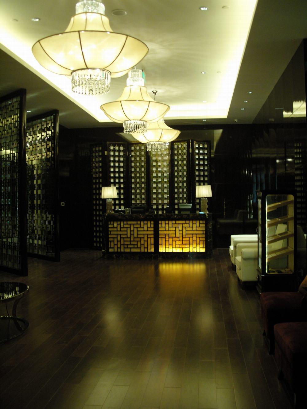 LEO南京万达希尔顿酒店全免费_SNV18291.JPG