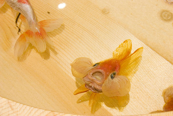 3D-goldfish-paintings-riusuke-fukahori-2.jpg