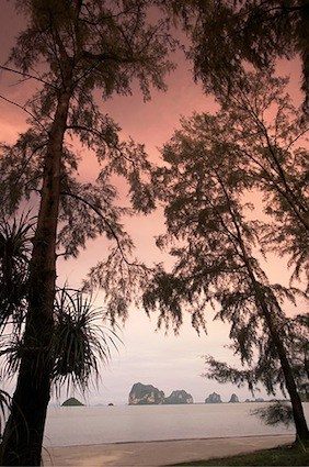 泰国甲米度假村 Si Kao, South of Krabi_Palm-tree-sunset-ASK_593.jpg