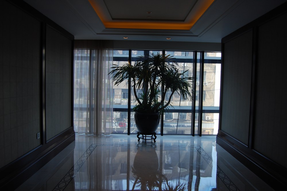上海华尔道夫酒店(The Waldorf Astoria OnTheBund)(HBA)10.9第10页更新_DSC_0670.JPG
