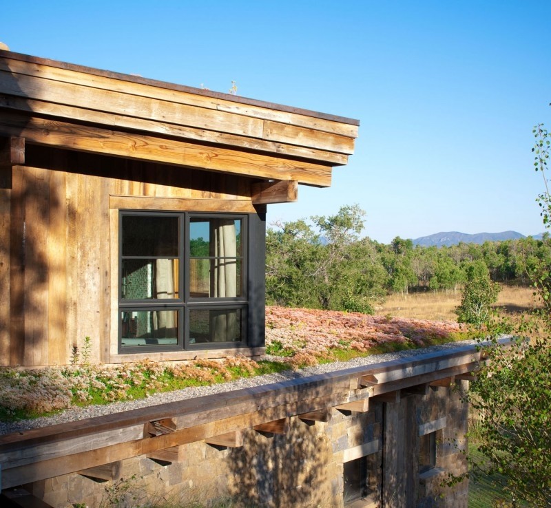 里德住宅 ---罗伯特·霍金斯建筑师设计_Reed-Residence-05-800x738_jpg_thumb.jpg