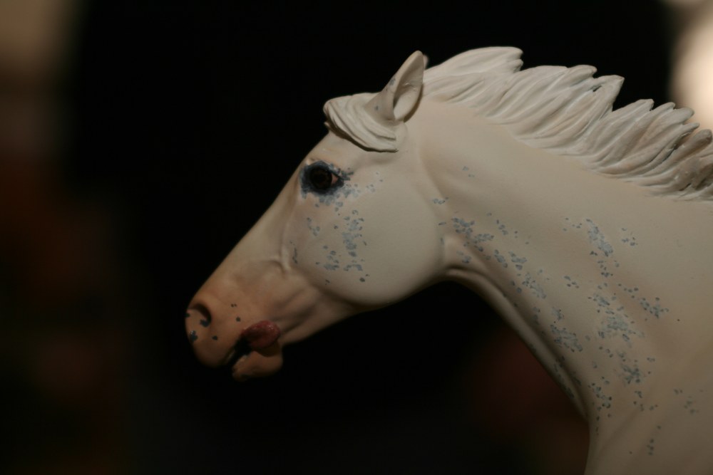 马蹄哥[雕塑小马]收集之05_042608%20128.jpg