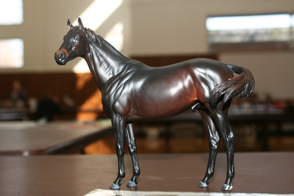 马蹄哥[雕塑小马]收集之05_042608%20126.jpg