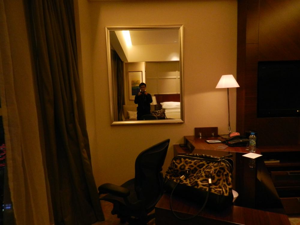 广州粤海喜来登酒店(Guangzhou Sheraton Hotel)(HBA)_DSCN0499.JPG