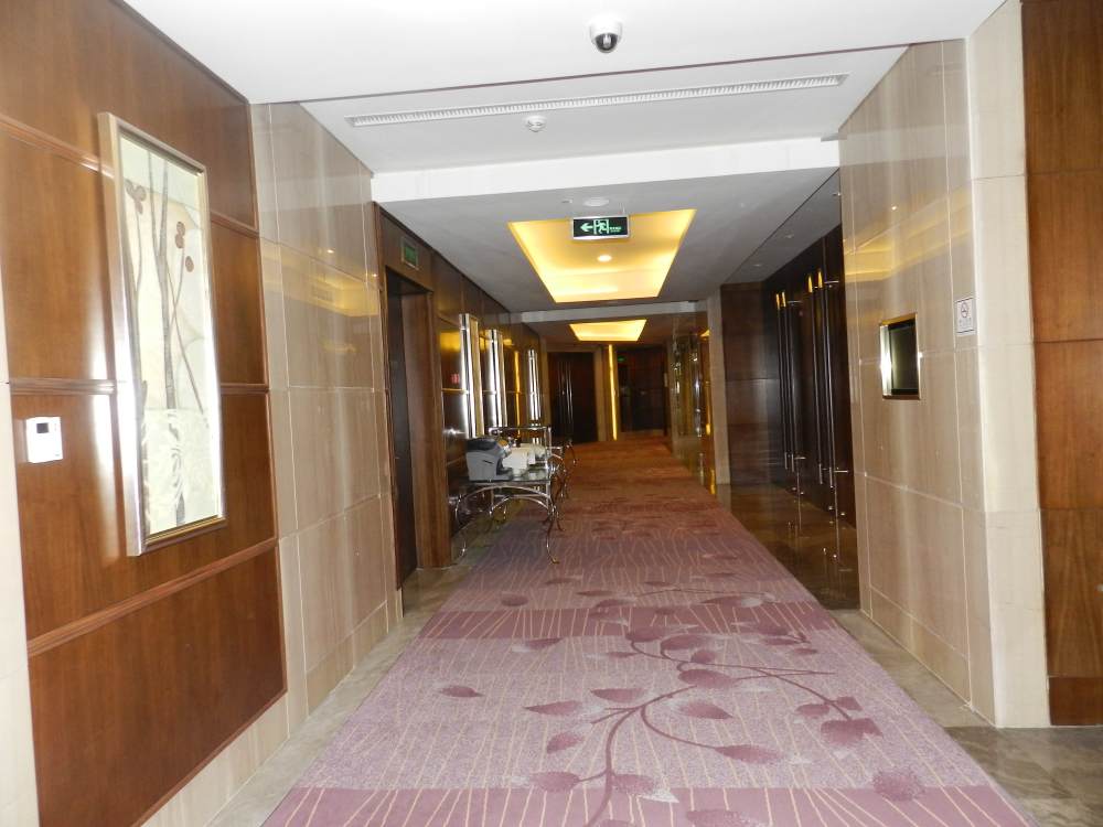 广州粤海喜来登酒店(Guangzhou Sheraton Hotel)(HBA)_DSCN0615.JPG