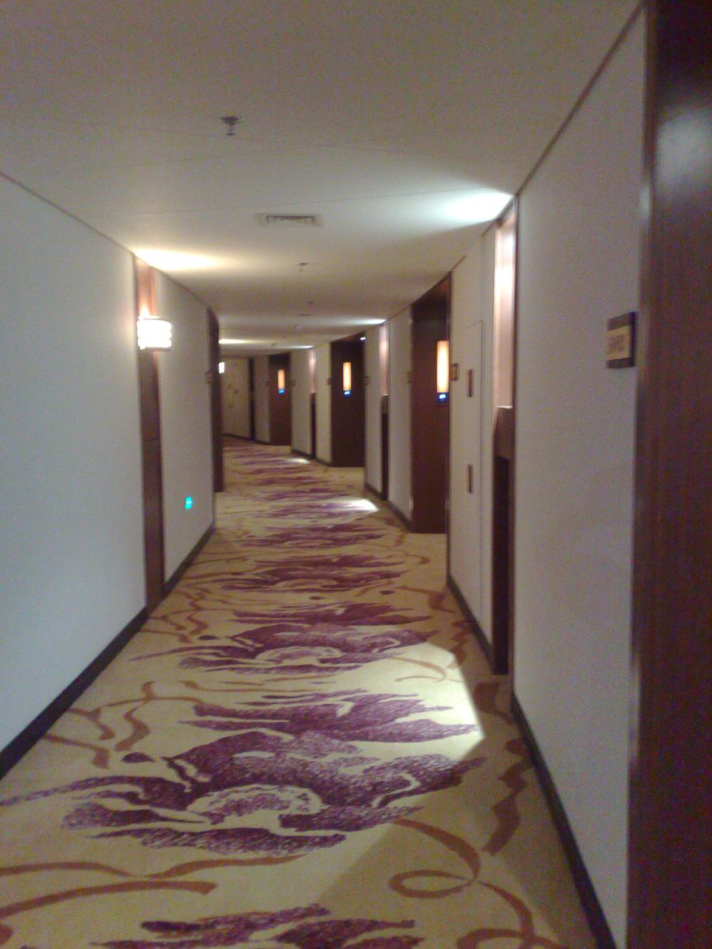 三亚阳光酒店_20081220133.jpg