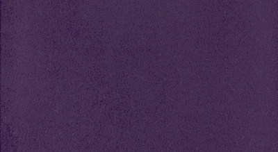 （和大家免费分享）自己收集的墙纸和壁布也可做地毯用_New_Buck_Purple.jpg
