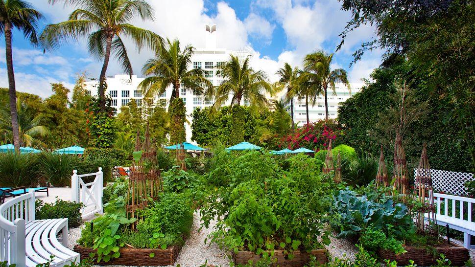 迈阿密海滩棕榈酒店 The Palms Hotel & Spa, Miami Beach_001683-02-garden.jpg