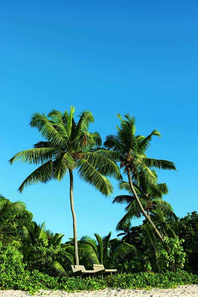 塞舌尔康斯坦茨利莫里亚度假村 Constance Lémuria Resort_phoca_thumb_l_CLRPBS09_Beach.jpg