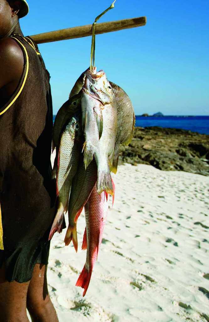 马达加斯加康斯坦茨Tsarabanjina度假村 Constance Lodge Tsarabanjina_phoca_thumb_l_CLTMB-Fishing1.jpg