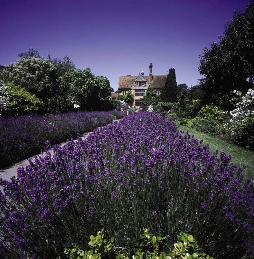 英国牛津米尔顿Le Manoir aux Quat'Saisons酒店_LMR-EXT-GDN-03.jpg