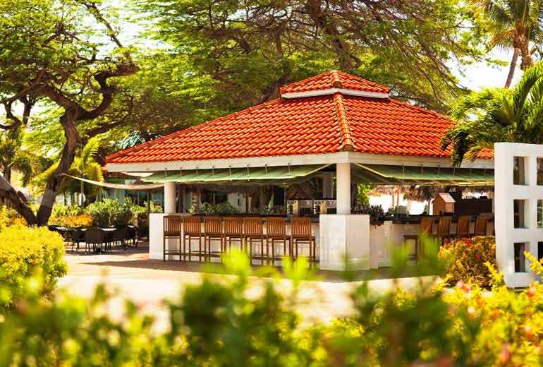 加勒比阿鲁巴威斯汀度假酒店 The Westin Resort & Casino, Aruba_wes1960re_120627_xx.jpg