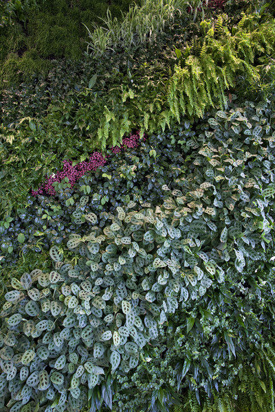 卡塔尔多哈-机场豪华贵宾休息室_5SHH_pM_-Living-wall-detail.jpg