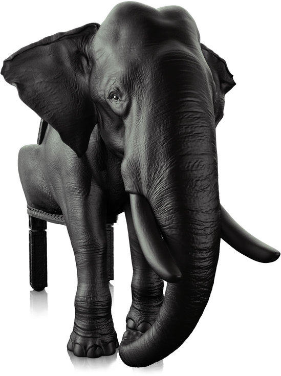 收藏的一些时尚家具 【单品白底，方便抠图做方案】_elephant-chair-picture1.jpg