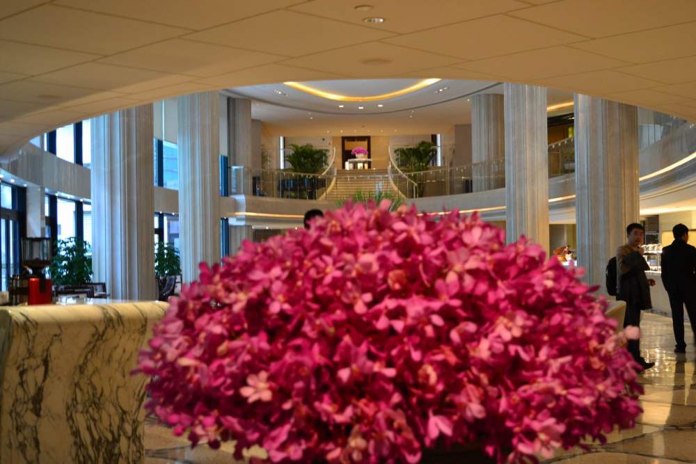 上海华尔道夫酒店(The Waldorf Astoria OnTheBund)(HBA)10.9第10页更新_调整大小 DSC_0543.JPG