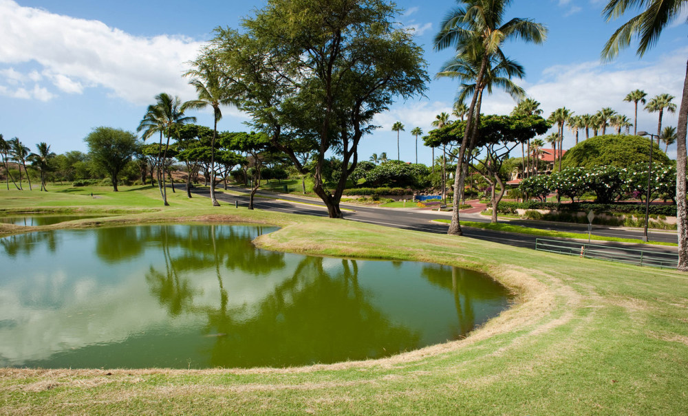 （毛伊岛）四季度假酒店 Four Seasons Resort Maui官方摄影_golf-four-seasons-maui-v390180-1280.jpg