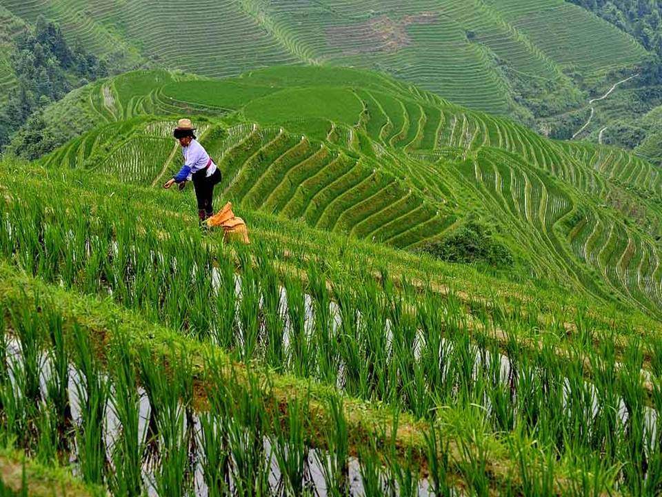 中國廣西 CHINA GUANGXI_幻灯片8.JPG